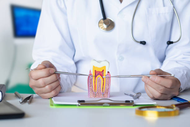 Best Emergency Dental Care for Broken or Chipped Teeth in Gregory, TX